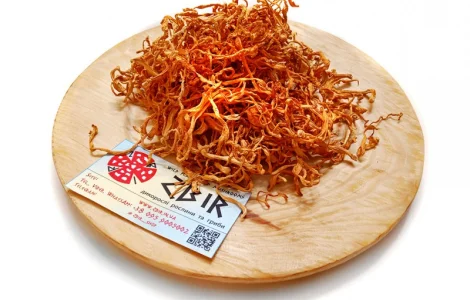 Кордіцепс військовий (Cordyceps militaris)