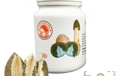 Гриб “Веселка” в капсулах