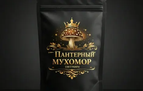 Пантерний мухомор - цілі шапки преміум-якості
