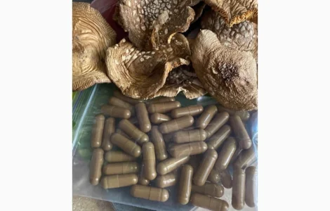 Мухомор пантерний в капсулах Склад: 100% Мелені капелюшки пантерного мухомора