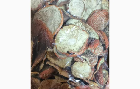 Продам МУХОМОР Червоний