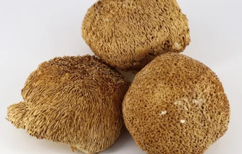 Продам мухомор 1 сорт