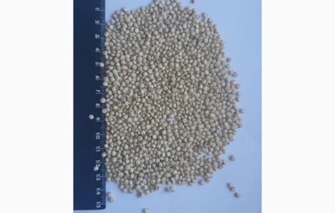 Сорго белое продажа на экспорт