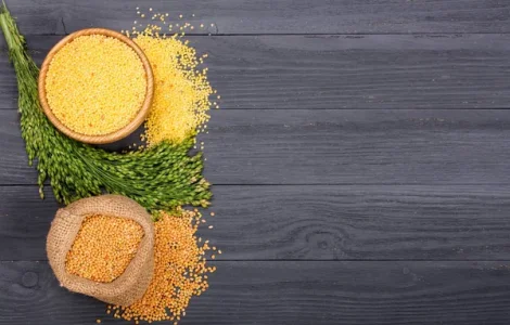 Закуповуємо врожай проса