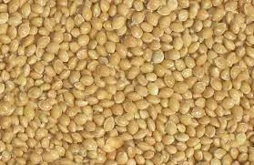 Куплю просо жовте