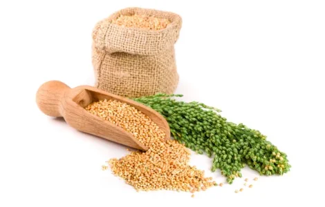 Куплю просо жовте