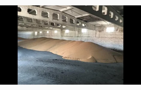 Просо купуємо червоне/жовте.Будь яка ф/о