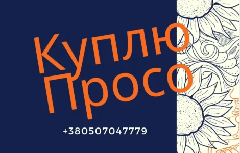 Просо купуємо ваше