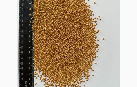 Закуповую ПРОСО