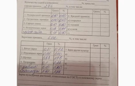 Срочно продам овес