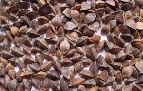 Продам гречку