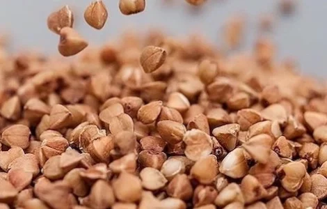 Зерно гречки оптом від виробника