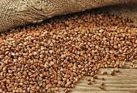 Гречка на посів. Прямі поставки насіння