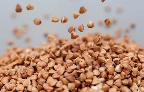 Продается высококачественное зерно гречки