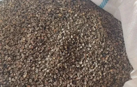 Продам гречку Арно