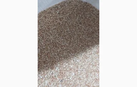 Гречка нежарена