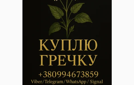 Куплю гречіху ! Дорого