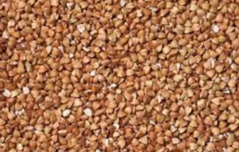 Куплю любу гречку