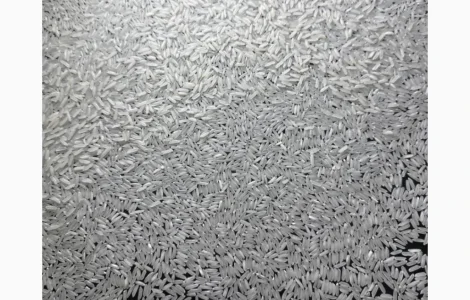 Ароматний рис (не ароматичний) від виробника