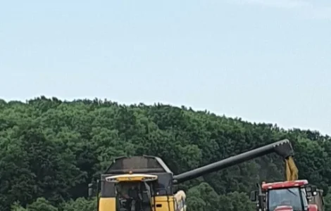 Продам насіння ярого ячменю ГУЛЛІВЕР