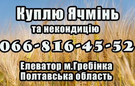 Елеватор закуповує Ячмінь!За високими Цінами!Договірні умови