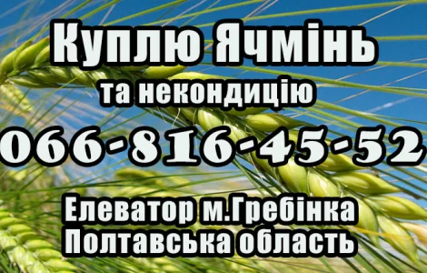 Елеватор закуповує ячмінь за високими цінами