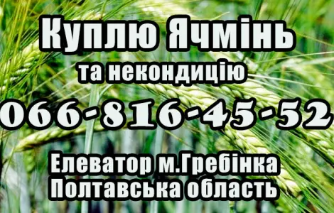 Закупка ячменя и некондиции по выгодным ценам!