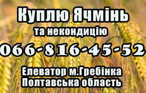 Елеватор закуповує Ячмінь