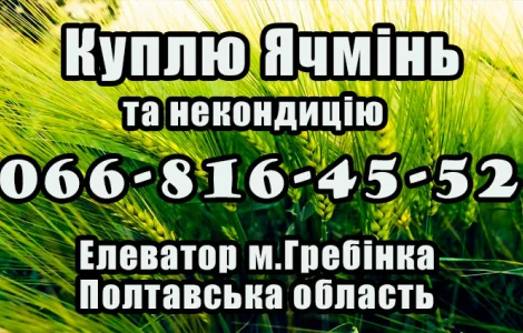 Елеватор закуповує ячмінь та некондицію