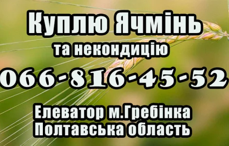 Елеватор закуповує Ячмінь!За високими Цінами!та некондицію Ячменю