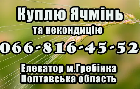 Закупка ячменя по высоким ценам в Полтаве