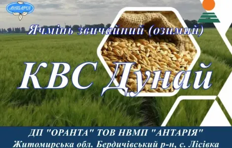 Насіння озимого ячменю КВС Дунай