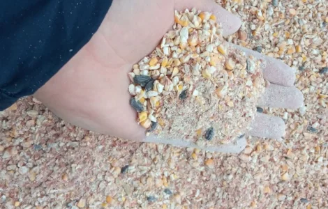 Закуповуємо зерновідходи