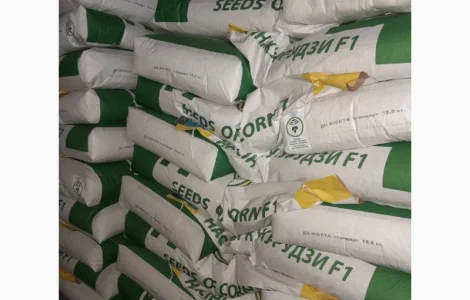 ДН Фієста (ФАО 260)