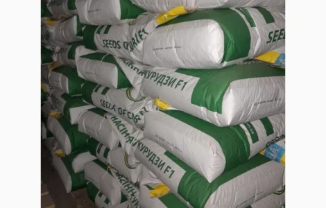 ДН Корунд 2025 (ФАО 250)