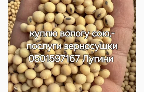 Куплю вологу кукурудзу сою