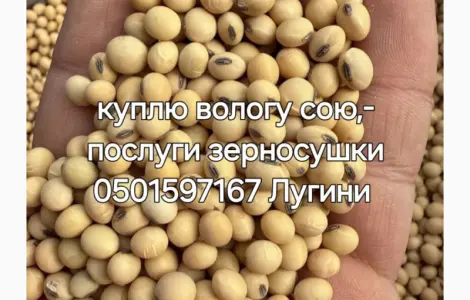 Купую вологу кукурудзу та сою