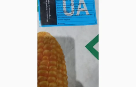 Пивиха Кукурудза. 25кг Хотин Хортиця