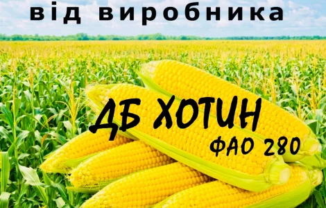 Насіння кукурудзи ДБ Хотин ФАО 280 від виробника Agro_Exprt