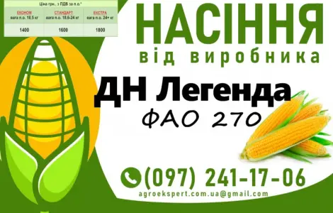 Насіння кукурудзи ДН Легенда (ФАО 270) на 2025 год от производителя