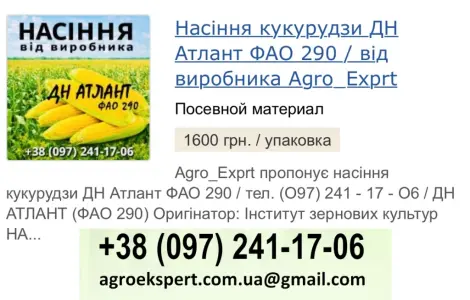 Насіння кукурудзи ДН Атлант (ФАО 290) от Agro_Exprt