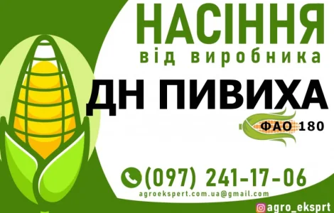Гібрид кукурудзи ДН Пивиха (ФАО 180). Насіння від виробника