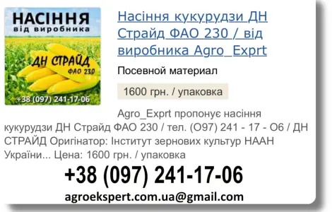 Продаж насіння кукурудзи ДН Страйд посівмат на 2026 від виробника