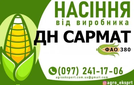 Гібрид кукурудзи ДН Сармат (ФАО 380) від виробника