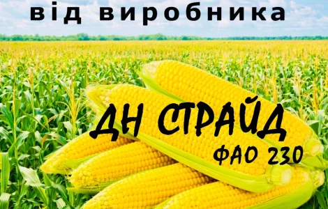 Насіння кукурудзи ДН Страйд ФАО 230 / від виробника Agro_Exprt