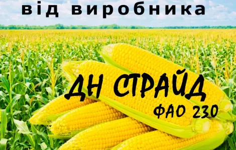 Насіння кукурудзи ДН Страйд ФАО 230 від виробника Agro_Exprt