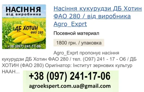 Насіння кукурудзи ДБ Хотин (ФАО 280) от Agro_Exprt