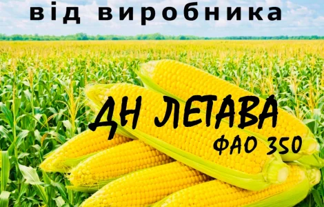 Насіння кукурудзи ДН Летава ФАО 350 / від виробника Agro_Exprt