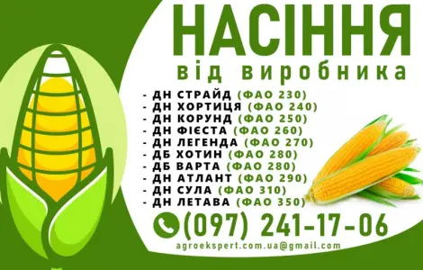 Качественное семя кукурузы от производителя в Харькове