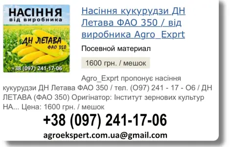 Продаж насіння кукурудзи ДН Летава на 2026 рік від виробника